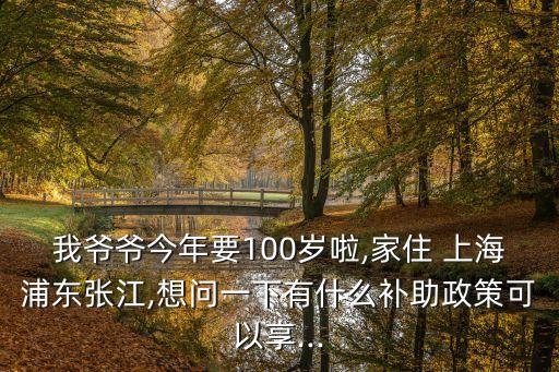 我爺爺今年要100歲啦,家住 上海浦東張江,想問一下有什么補(bǔ)助政策可以享...