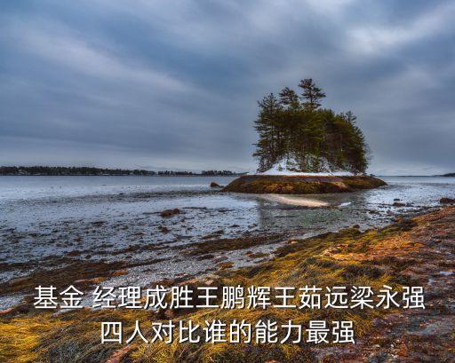  基金 經(jīng)理成勝王鵬輝王茹遠梁永強四人對比誰的能力最強