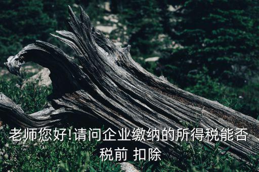 老師您好!請問企業(yè)繳納的所得稅能否 稅前 扣除