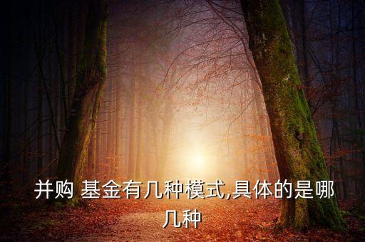  并購 基金有幾種模式,具體的是哪幾種