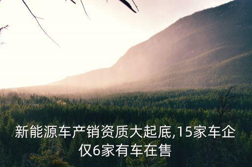 新能源車產(chǎn)銷資質大起底,15家車企僅6家有車在售