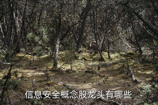 藍(lán)盾發(fā)展控股有限公司,深圳藍(lán)盾控股有限公司怎么樣啊