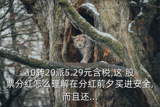 10轉20派5.29元含稅,這 股票分紅怎么理解在分紅前夕買進安全,而且還...