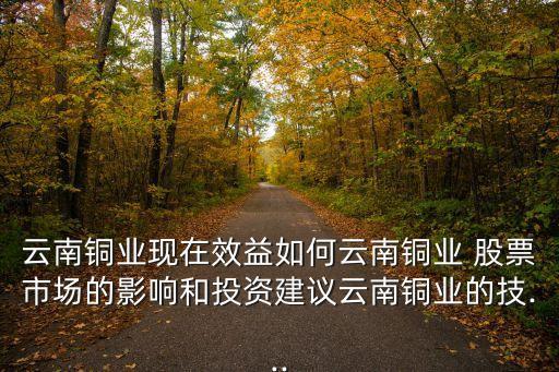 中鋁國(guó)際股票