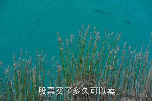 股票什么時(shí)候才能賣(mài)出,股票今天賣(mài)出 錢(qián)什么時(shí)候可以取出