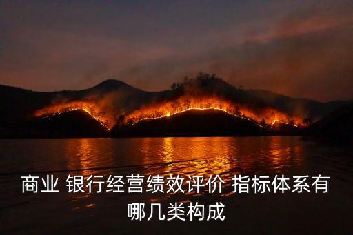商業(yè) 銀行經(jīng)營績效評價 指標(biāo)體系有哪幾類構(gòu)成