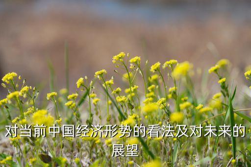 對(duì)當(dāng)前中國(guó)經(jīng)濟(jì)形勢(shì)的看法及對(duì)未來(lái)的展望