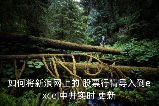 如何將新浪網(wǎng)上的 股票行情導入到excel中并實時 更新