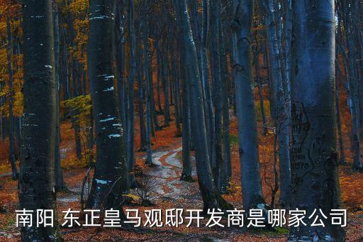 南陽(yáng) 東正皇馬觀邸開發(fā)商是哪家公司