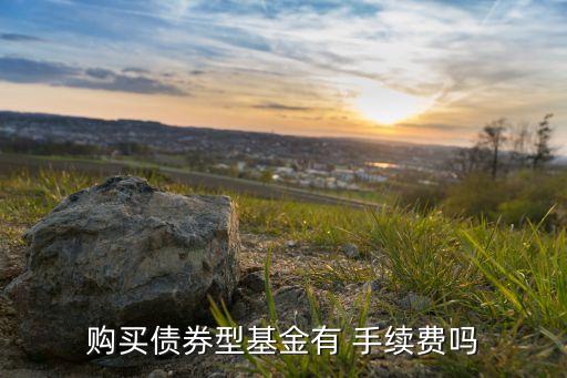 購買債券型基金有 手續(xù)費嗎