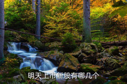 明天上市新股有哪幾個