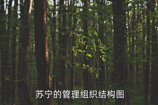  蘇寧的管理組織結構圖