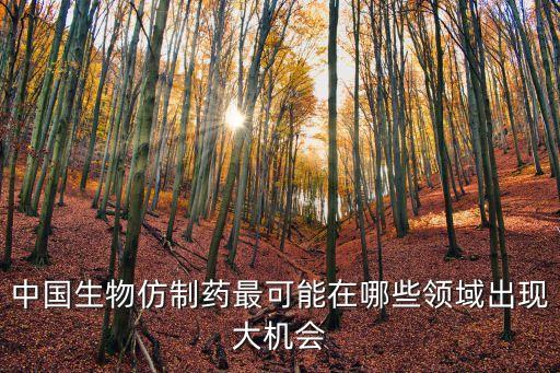 中國生物仿制藥最可能在哪些領域出現(xiàn)大機會