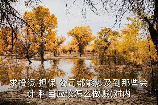 擔保公司的應收賬款科目,應收賬款二級科目超過100個