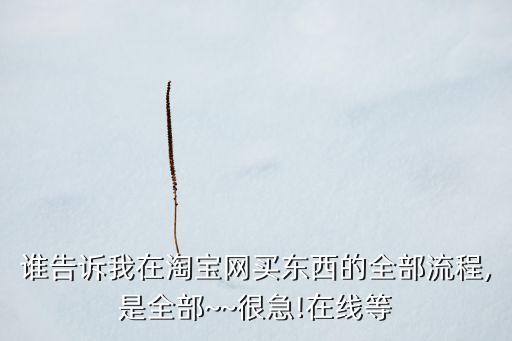 誰(shuí)告訴我在淘寶網(wǎng)買東西的全部流程,是全部~~很急!在線等