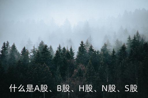 什么是A股、B股、H股、N股、S股