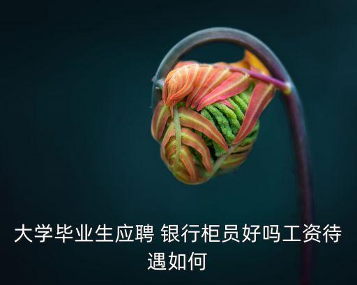 大學畢業(yè)生應聘 銀行柜員好嗎工資待遇如何