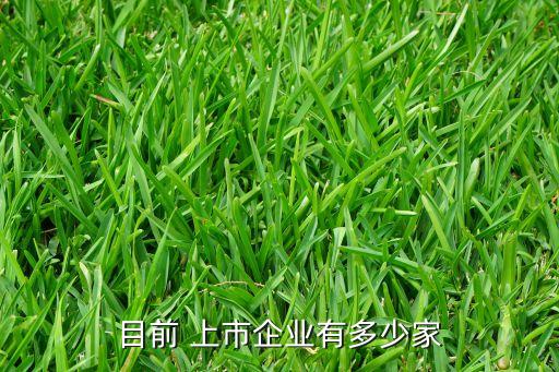 目前 上市企業(yè)有多少家