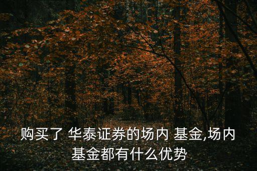 購買了 華泰證券的場內 基金,場內 基金都有什么優(yōu)勢