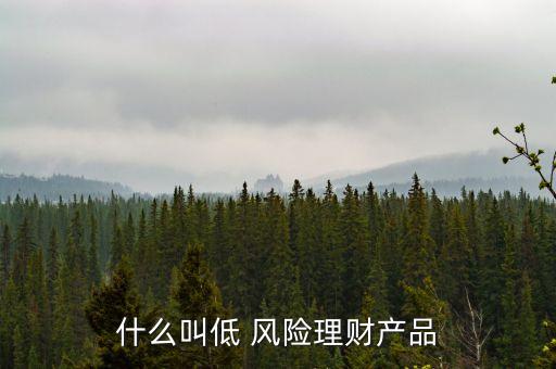 什么叫低 風(fēng)險(xiǎn)理財(cái)產(chǎn)品