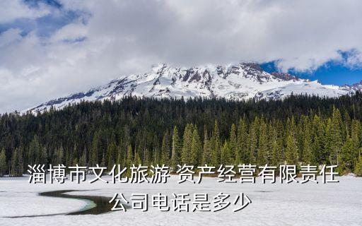  淄博市文化旅游 資產經(jīng)營有限責任公司電話是多少