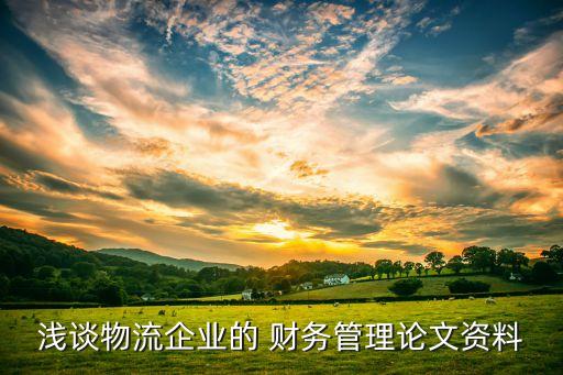 淺談物流企業(yè)的 財務管理論文資料