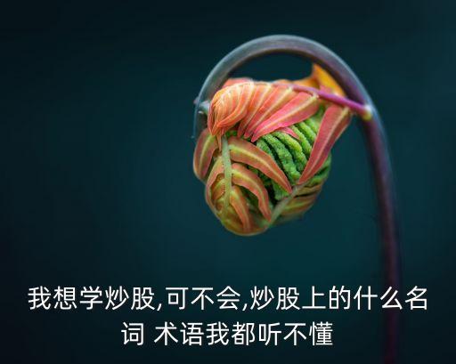 我想學(xué)炒股,可不會(huì),炒股上的什么名詞 術(shù)語我都聽不懂