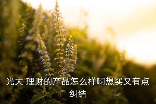 光大 理財?shù)漠a(chǎn)品怎么樣啊想買又有點糾結