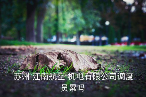  蘇州 江南航空 機電有限公司調度員累嗎