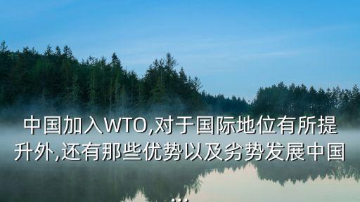 中國駐世界貿易組織,2001中國加入世界貿易組織