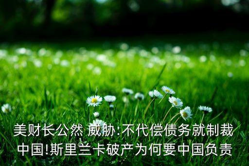 美財(cái)長(zhǎng)公然 威脅:不代償債務(wù)就制裁中國(guó)!斯里蘭卡破產(chǎn)為何要中國(guó)負(fù)責(zé)