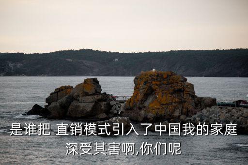 是誰(shuí)把 直銷(xiāo)模式引入了中國(guó)我的家庭深受其害啊,你們呢