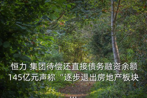  恒力 集團待償還直接債務融資余額145億元聲稱“逐步退出房地產板塊...