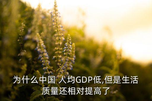 為什么中國 人均GDP低,但是生活質量還相對提高了