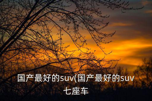國產(chǎn)最好的suv(國產(chǎn)最好的suv七座車
