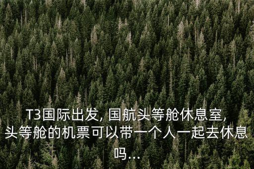 T3國際出發(fā), 國航頭等艙休息室,頭等艙的機(jī)票可以帶一個人一起去休息嗎...