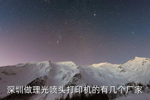 深圳做理光噴頭打印機的有幾個廠家
