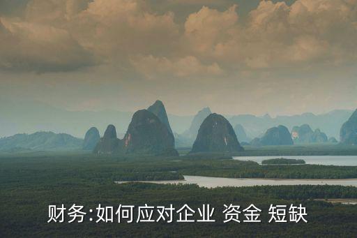 財(cái)務(wù):如何應(yīng)對(duì)企業(yè) 資金 短缺