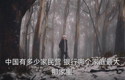 中國(guó)有多少家民營(yíng) 銀行哪個(gè)家庭最大那家里