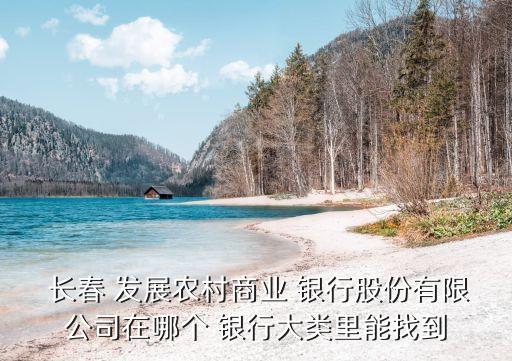  長(zhǎng)春 發(fā)展農(nóng)村商業(yè) 銀行股份有限公司在哪個(gè) 銀行大類里能找到