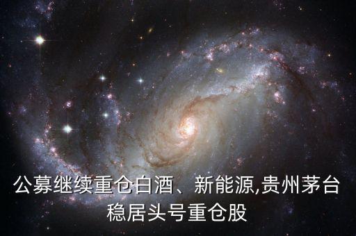 公募繼續(xù)重倉白酒、新能源,貴州茅臺穩(wěn)居頭號重倉股