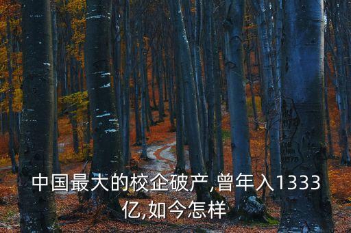 中國虧損500強,碧桂園虧損500億