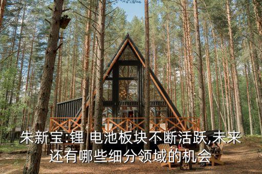 朱新寶:鋰 電池板塊不斷活躍,未來還有哪些細分領域的機會