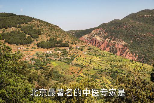  北京最著名的中醫(yī)專家是