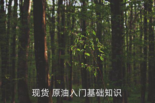 現(xiàn)貨 原油入門基礎(chǔ)知識
