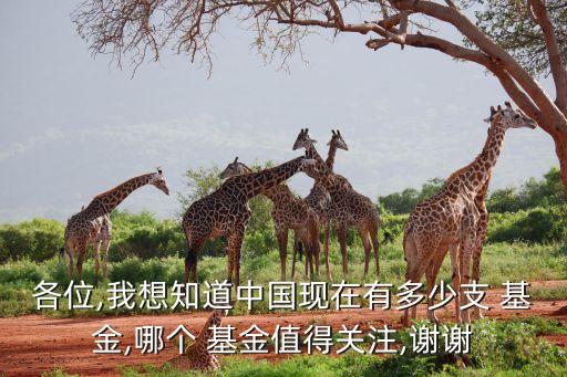 鋼鐵行業(yè)基金,中國鋼鐵行業(yè)現狀分析