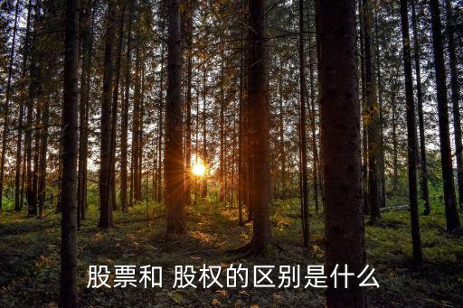  股票和 股權的區(qū)別是什么