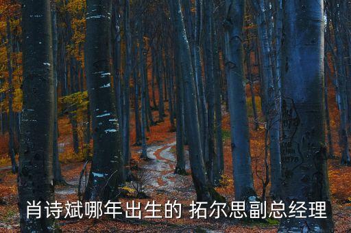 肖詩(shī)斌哪年出生的 拓爾思副總經(jīng)理