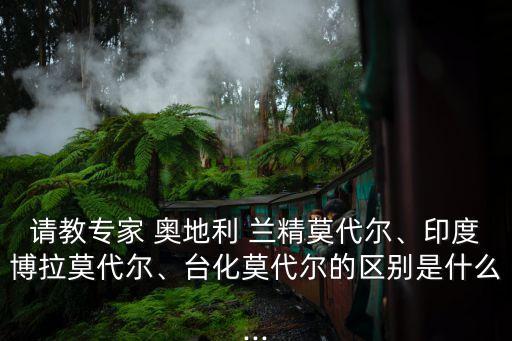 請教專家 奧地利 蘭精莫代爾、印度博拉莫代爾、臺化莫代爾的區(qū)別是什么...