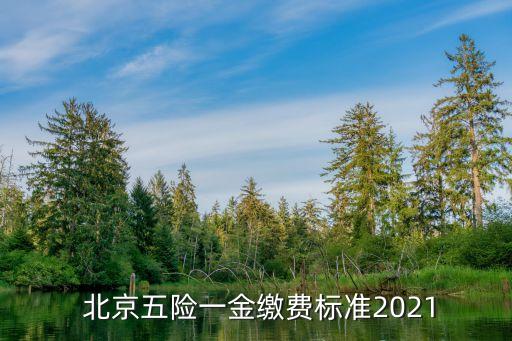  北京五險一金繳費標(biāo)準(zhǔn)2021